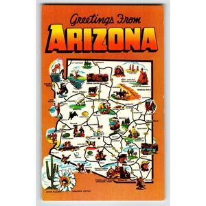 Postcard Greetings From Arizona Map Chrome Saguaro Cactus Flower Unposted